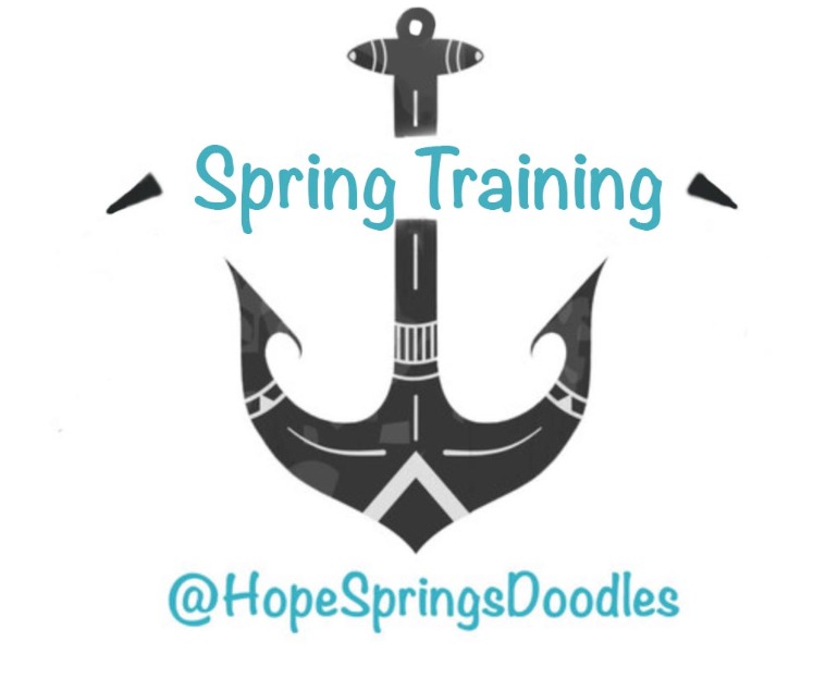 Spring Training Anchor logo graphic